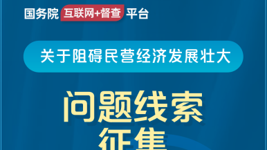 日韩操比网站国务院“互联网+督查”平台公开征集阻碍民营经济发展壮大问题线索